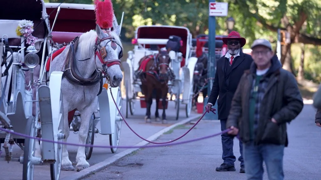 BBC Two drivers stand next to their horse carriages