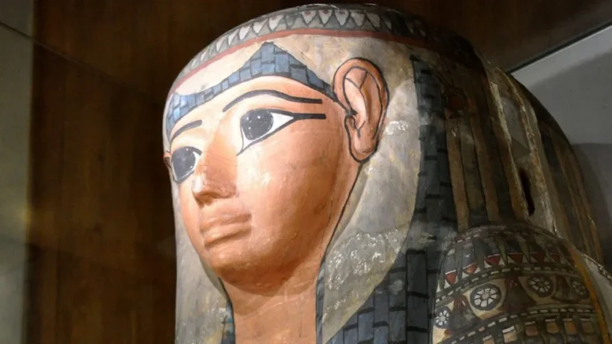 Wikipedia Commons Lady Shep-En-Hor's sarcophagus  on display at The Hunterian Museum in Glasgow. The sarcophagus is multicoloured and has a number of Egyptian hieroglyphics on it.