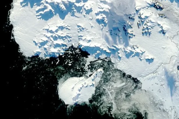 MODIS Satellite image of Antarctica. To the left of the image is the ocean, which is black. A small white landmass, which is Rothschild Island, is at the centre bottom of the image. There is a large landmass to the right of the image, which is Alexander Island. The Amos Channel is a stretch of water between the northern tip of Rothschild Island and Alexander Island. The water of the Channel is black with broken ice in it.