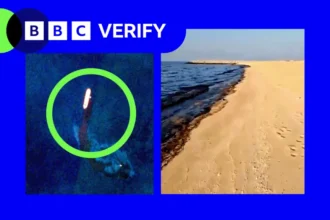 BBC BBC Verify graphic combining evidence of an oil spill in the UAE. On the left, a satellite image shows a tanker leaking a dark plume into the sea, highlighted with a green circle. On the right, a photograph shows oil staining the shoreline of a sandy beach in the northern UAE.