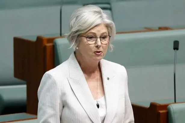 Getty Images Independent MP Helen Haines speaks in the House of Representatives in Parliament House on September 09, 2026 in Canberra